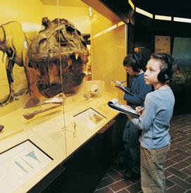 Fieldtrips dinosaur bonesEnseignement différentiel