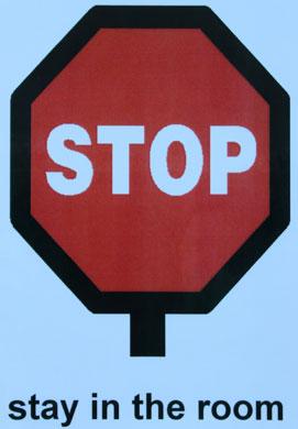 Visual PromptsExecutive Functioning